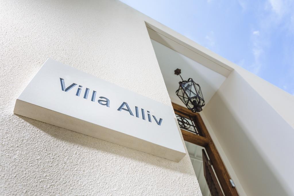 Villa Alliv Семиньяк Экстерьер фото